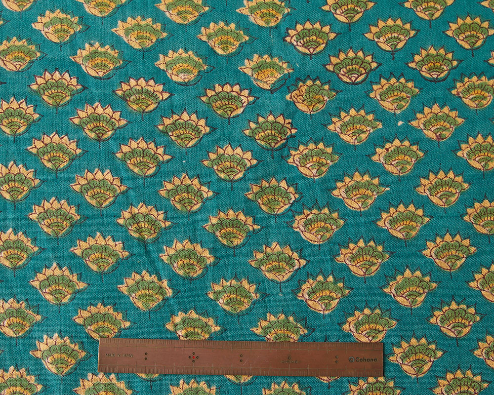 �����礭��