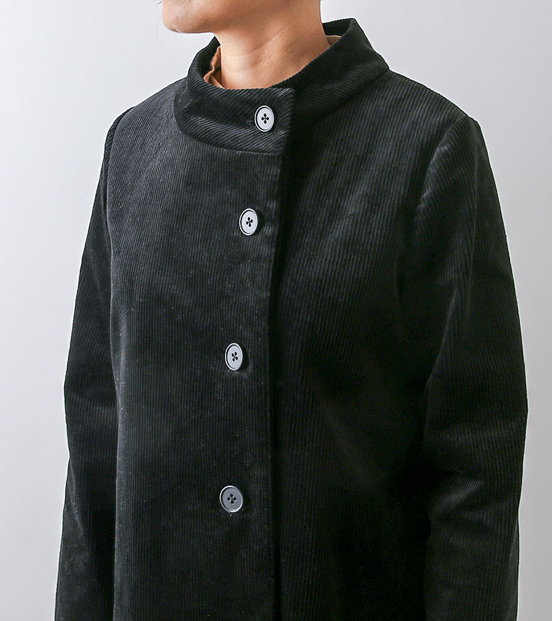 ��ʪ�緿���NO.539�ۥ�����ɥ��顼�Υ��㥱�åȡ�������